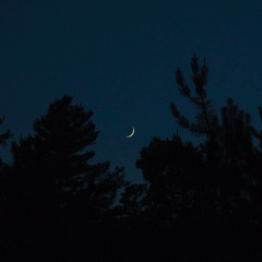 Slow dance under the fraying moon