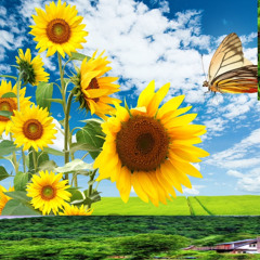 sickening w/ sean franco