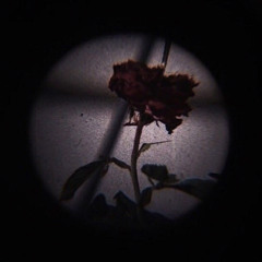 ПОШЛАЯ МОЛЛИ - порнхаб крисмас клаб (инструментал)