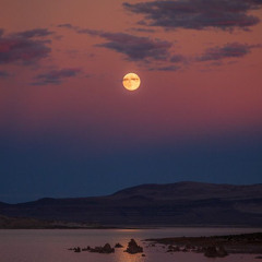 Take me to the moon | Prod. Milxymoon