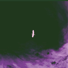 SUPER SORA CHOP: FALL EDITION