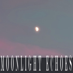 Moonlight Echoes