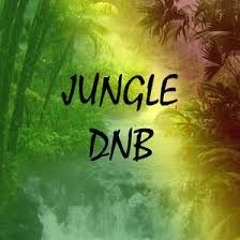 AhilE GreeN - JunglE DnB