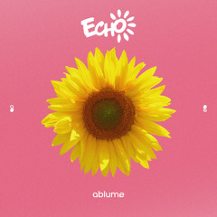 Echo (Alt Version)