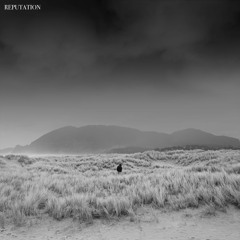 Reputation (feat. Cosmo Rossi)