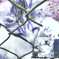 𝖒𝖎𝖈𝖎𝖆𝖉𝖎𝖓𝖆𝖘𝖙𝖎𝖆