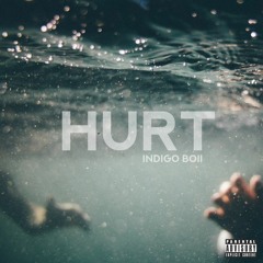Indigo Boii - Hurt