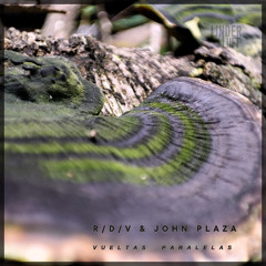 Indefinite Pitch PREMIERES. R/D/V - Perpetual Shift [Linderluft]