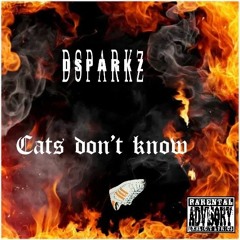 DSparkz - (Cats Dont Know) Remastered