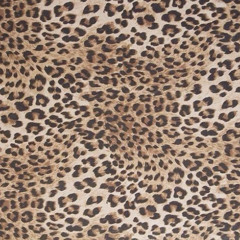 padsandsynth(sexntokyo)