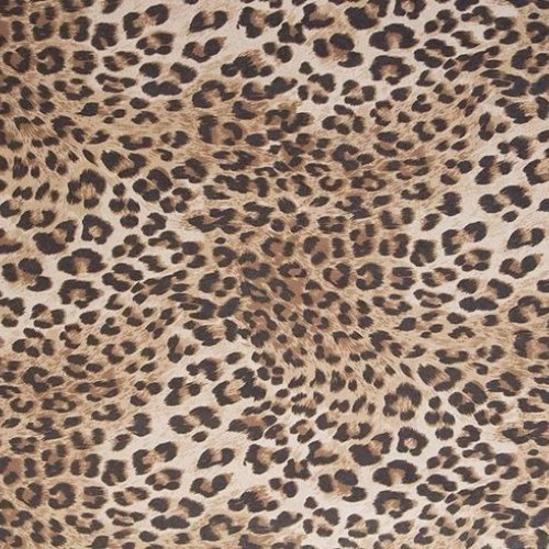 padsandsynth(sexntokyo)