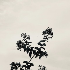 잠이 들어도(prod. Tennis Player)