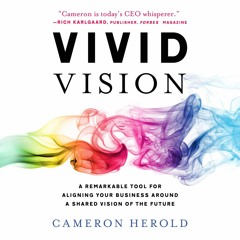 PDF Vivid Vision: A Remarkable Tool for Aligning Your Business Around a Shared Vision of t