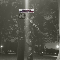 PUNKS RADIO BAYSESH MIX