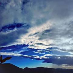 Days Come & Years Leave