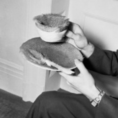 The Curious Case of Meret Oppenheim’s Furry Teacup