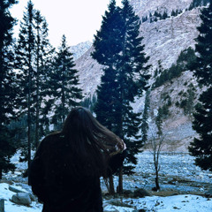 Dil Ko Karaar Aaya Slowed & Reverb