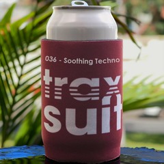 Traxsuit fm 036 Soothing Techno - Jun 22 Mixed by JZ
