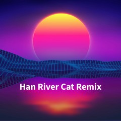 Han River Cat Remix