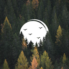 Spirit of the Forest