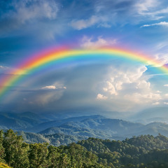 Rainbow Paradise