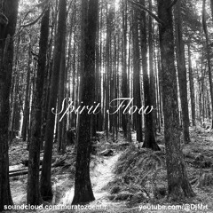 Mrt - Spirit Flow (2025)