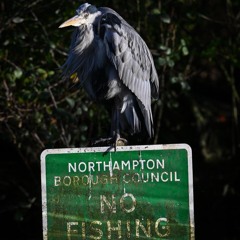 DLR x Sudoku_Leave Behind v2