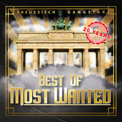 Bring den Schmerz (ZH BEATS Remix)