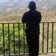 set para mi jungla  😝🙌