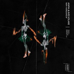 AMNA & Aves Volare - Resonance (Original Mix)