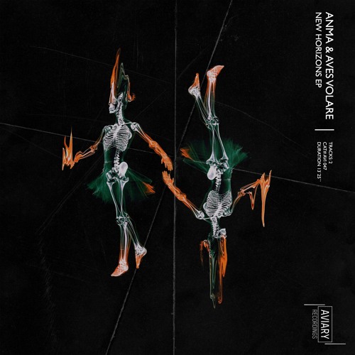 AMNA & Aves Volare - Drift (Original Mix)