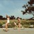 Artwork for Clairo x Wallows x Tame Impala x Joji x MGMT x Bedroom Pop x Indie Pop Type Bear "Summer"