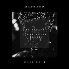 Gesaffelstein - The Perfect  x I Was Never There (Caiz Edit)