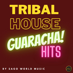 TRIBAL HOUSE/GUARACHA HITS