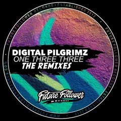 Digital Pilgrimz - Soul Power (Lucas Remix) Future Follower Records