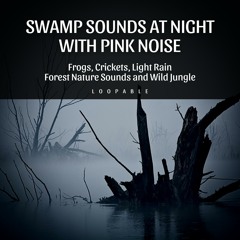 (Pink Noise) Two Bird Species - Loopable