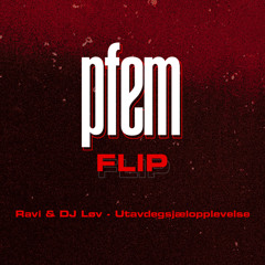 Ravi & DJ Løv - Utadæsjælåplevelse (PFEM Techhouse FLIP extended)