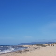 Dj Mingos'a Lounge  Deep House Voval Mix