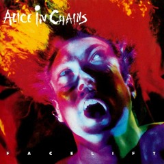 Alice in Chains |  Man in the box | Guitar Cover