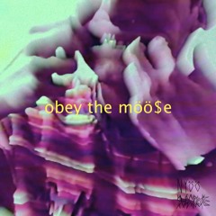 Mommy look, a real jack ass(Prod. Bowsy)