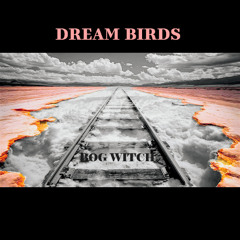 Dream Birds