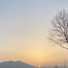 Groovy Stuff #1 [2023]