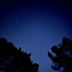 Ambient #2