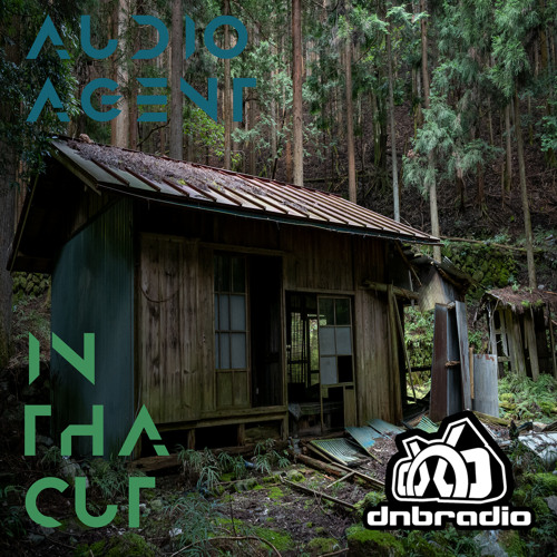 In Tha Cut 170 (DNBRadio 02-09-2025)