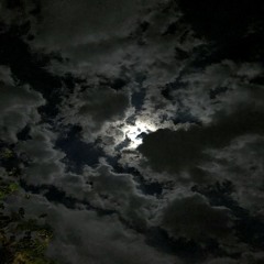 moonlight remix / roll up