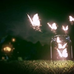 Borecki - Butterfly