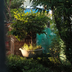 Sợ - Reddy
