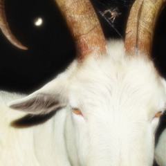 Jeb Sets Off For Mars