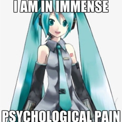 Bei mir Krachts richtig