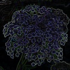 Reepah - Riddim & Blues